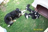 Picture 0322