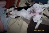 Picture 0324