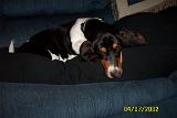 Picture 0325