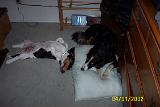 Picture 0326