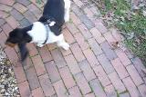 Picture 0391a