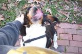Picture 0392a
