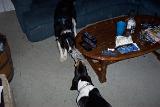 Picture 0398