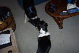 Picture 0399