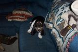 Picture 0404