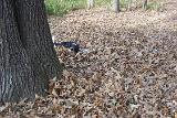 Picture 0460
