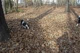 Picture 0461