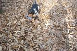 Picture 0465