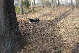 Picture 0466
