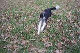 Picture 0467