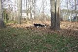 Picture 0469