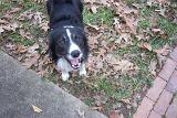 Picture 0472