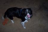 Picture 0474