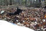 Picture 0512