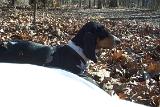 Picture 0516