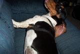 Picture 0532
