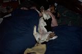 Picture 0561