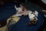 Picture 0562