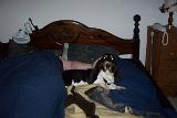 Picture 0563