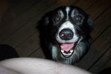 Picture 0566