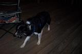 Picture 0568