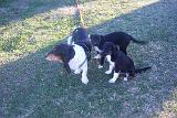 Picture 0824