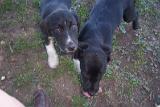 Picture 0833