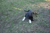 Picture 0836