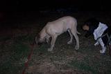 Picture 0878