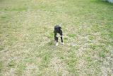 Picture 0892