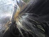Photo 061408 002