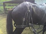 Photo 061408 008