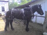 Photo 061408 009