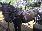 Photo 061408 010