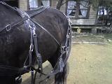 Photo 061408 011