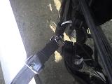 Photo 061408 015
