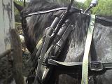 Photo 061408 016