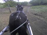 Photo 061408 017