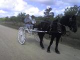 Photo 061408 018
