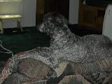 dscn0175