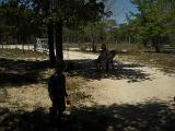 dscn0194