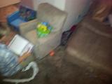IMG 20120408 064050