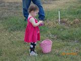 DSCN0549