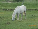 DSCN1672