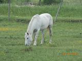 DSCN1674