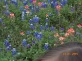 DSCN1709