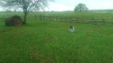 VIDEO0071