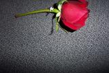 Picture 0066