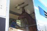 Picture 0142
