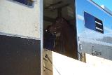 Picture 0143